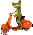Avatar du membre