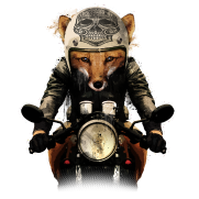 Avatar du membre