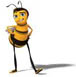 Avatar du membre