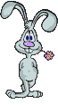 Avatar du membre