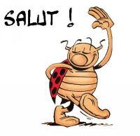Avatar du membre