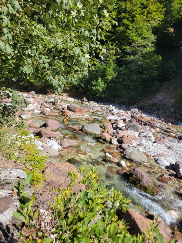 20260913_135425.jpg