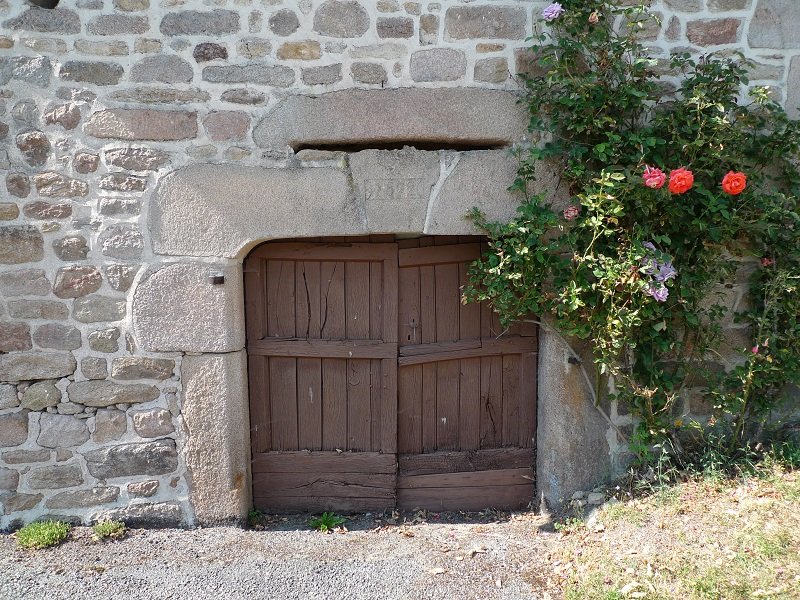 P1150726.JPG