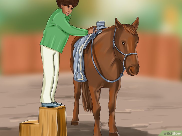 v4-728px-Mount-a-Horse-Step-3-Version-2.jpg