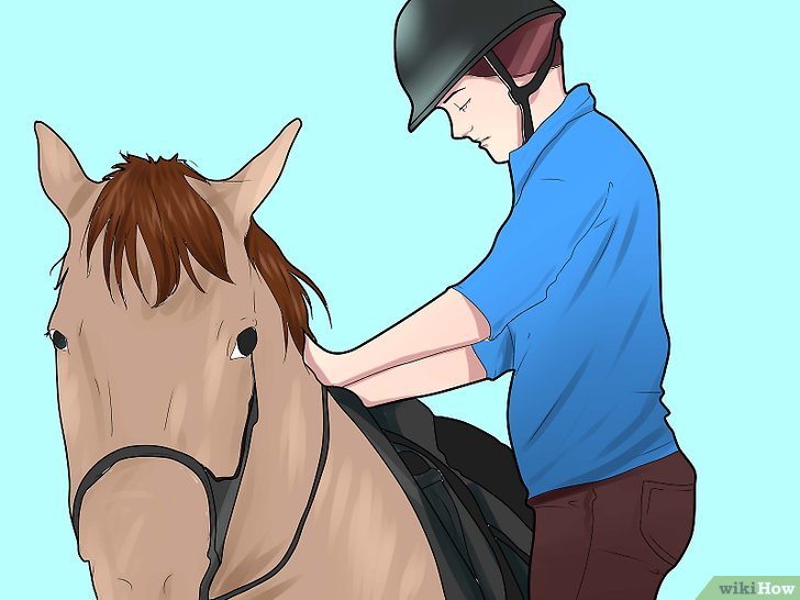 v4-728px-Mount-a-Horse-Step-4.jpg