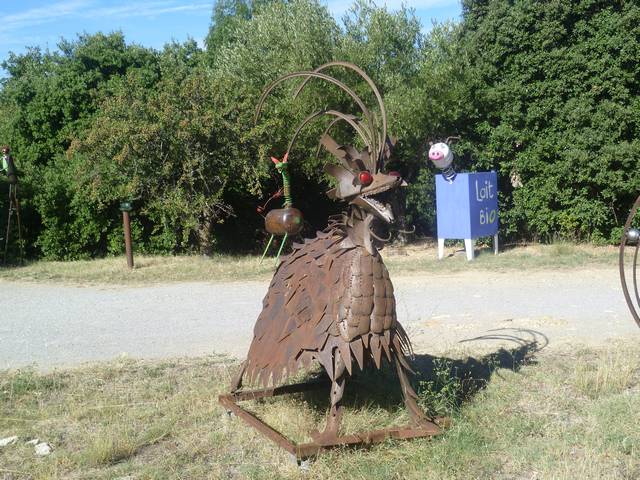 P1120740.JPG