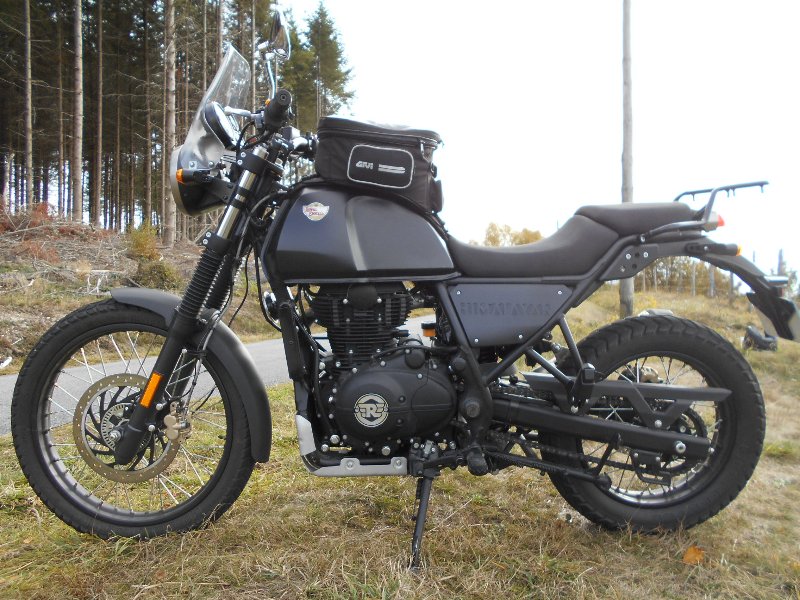 Himalayan55.JPG