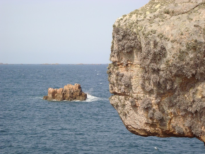 DSC07683.JPG