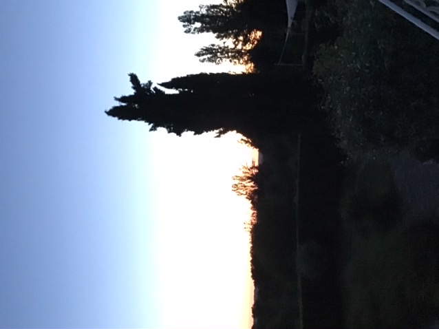 35F07C9D-D223-4B3C-B197-2B7C5ADC72E6.jpeg