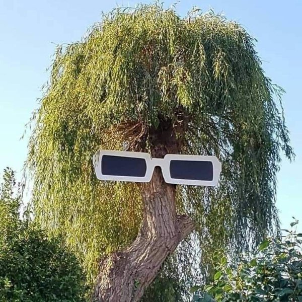 pareidolie.jpg
