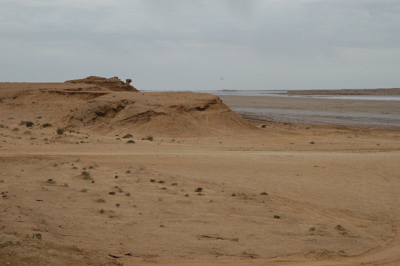 DSC_1195.JPG