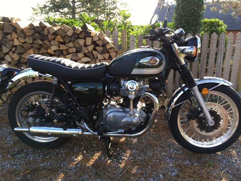 W800 (4).jpg