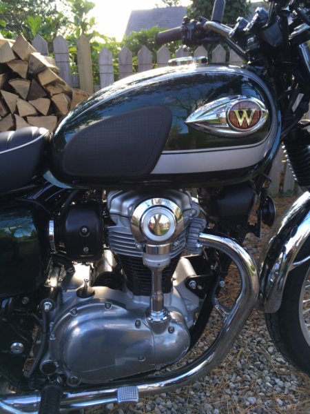 W800 (3).jpg