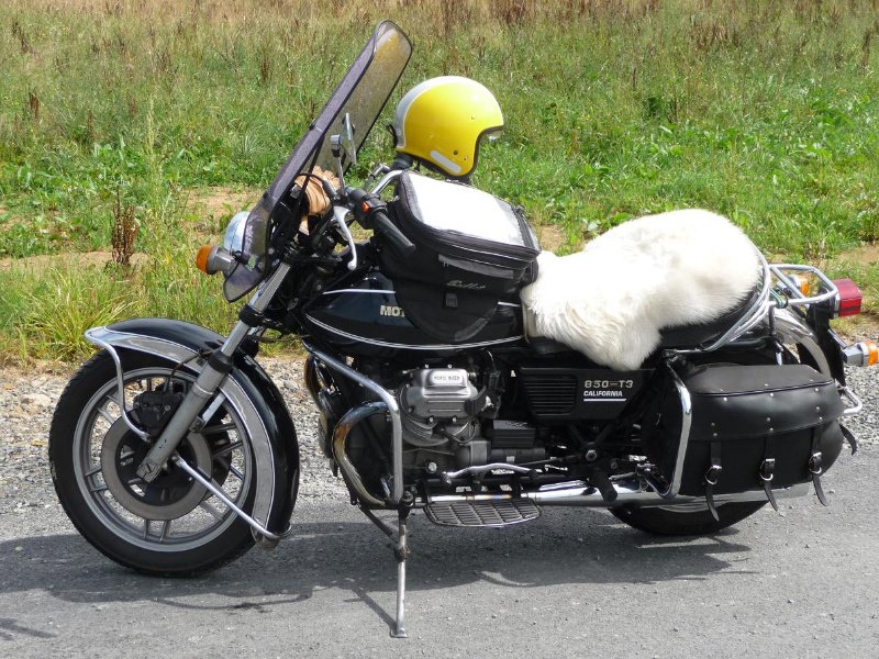 Calif-T3 peau de mouton.JPG