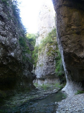 P1010627.JPG