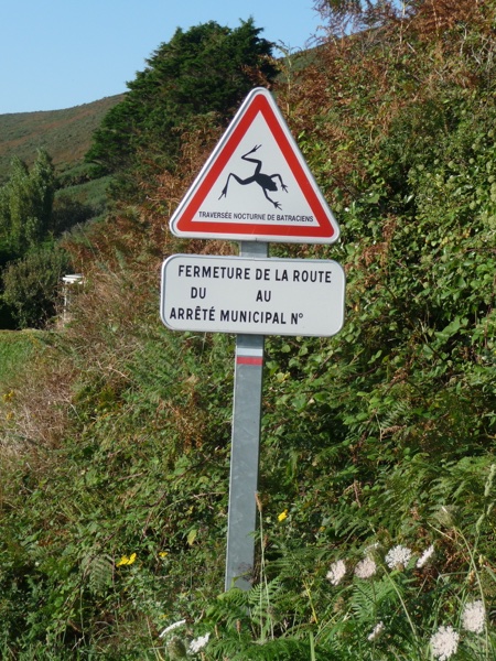 P1090399.JPG
