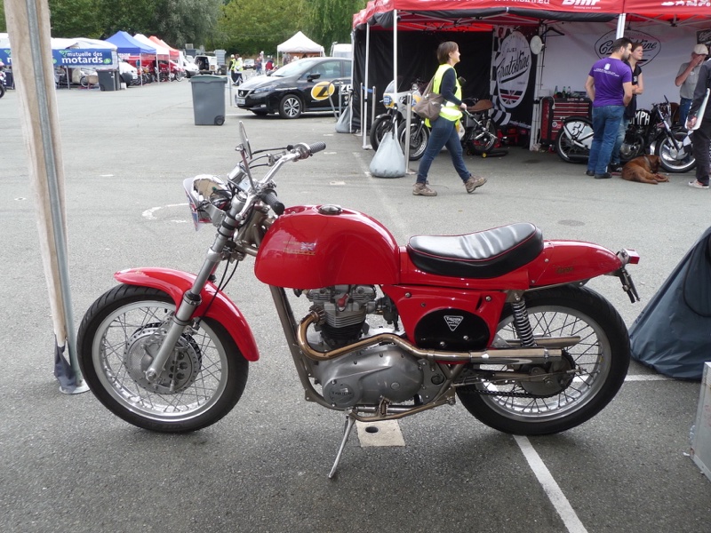 TR6 Metisse.JPG