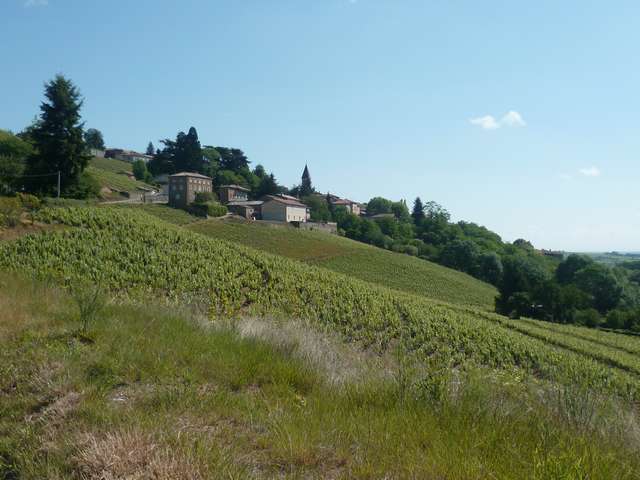 P1020769.JPG