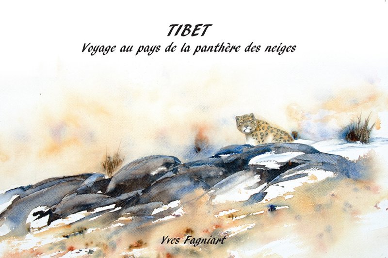 Yves Fagniart.jpg