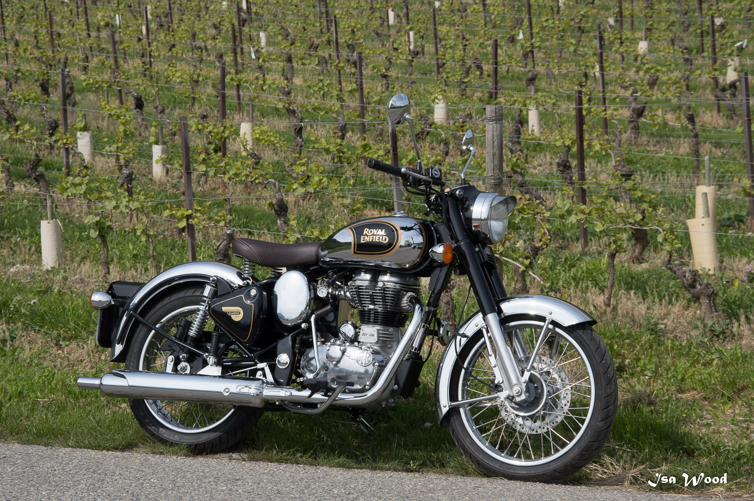 DSC_0194.jpg