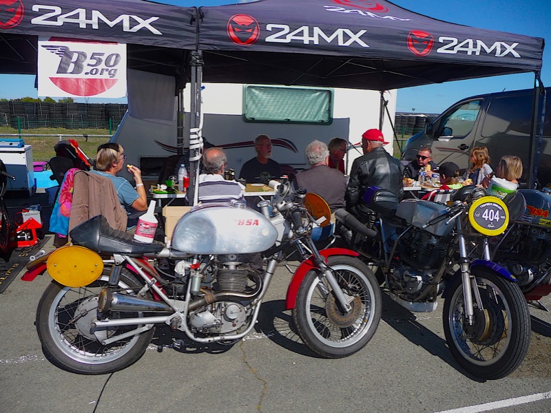 mono BSA.JPG