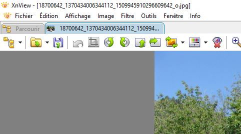 Capture 3.JPG