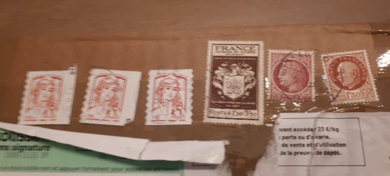 20221209_175549.jpg