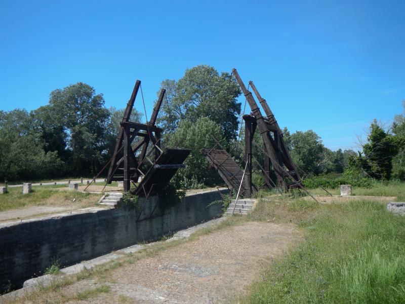 DSCN4975.jpg