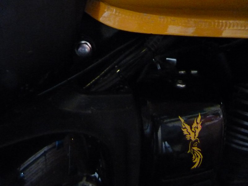 P1080756.JPG