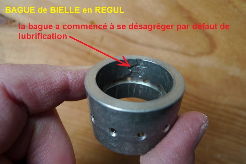 Bague en régul écaillée.JPG