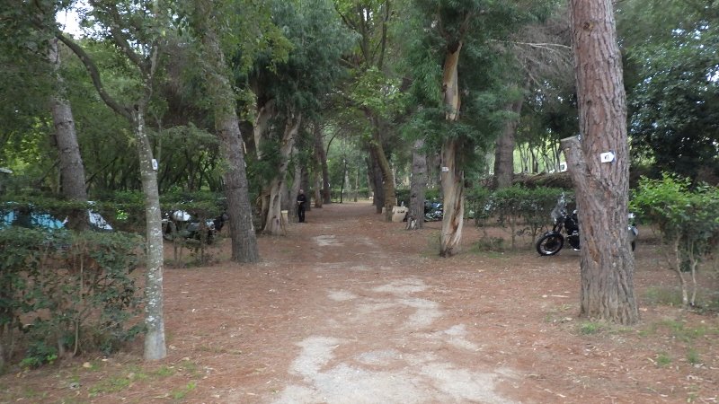 RIMG7692.JPG