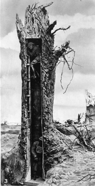 13.3_arbre-blinde.jpg