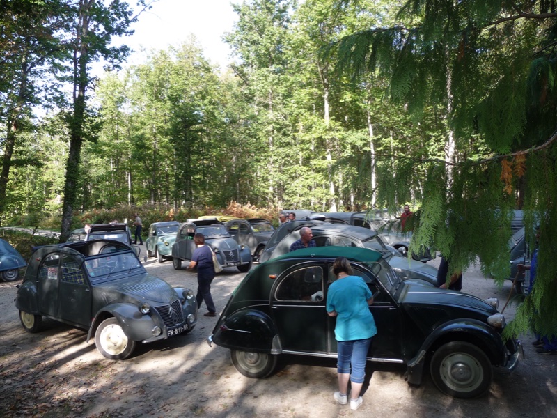 tas de 2CV forêt.JPG