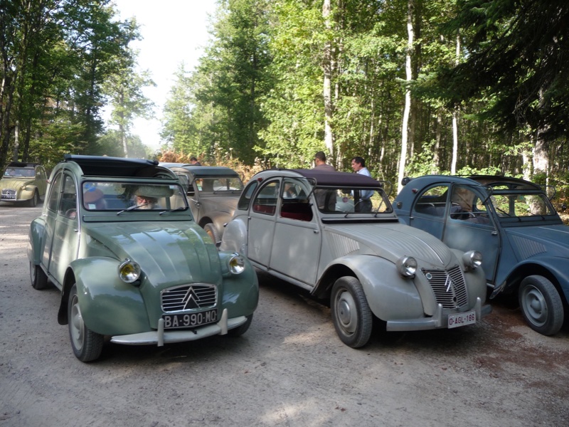 en forêt.JPG