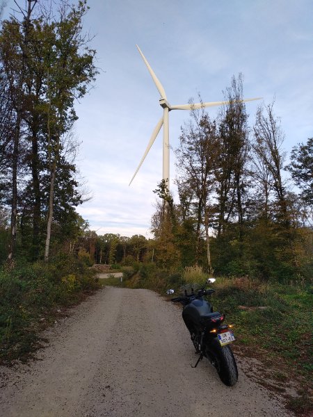2023 10 17 15r.jpg