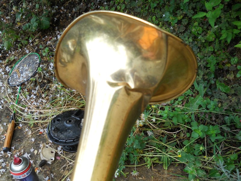 DSCN2016.JPG