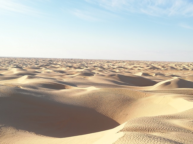 Tunisie-15.jpg