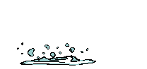 poisson.gif