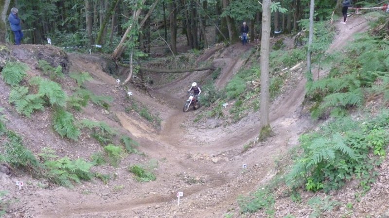 P1050996-3.jpg