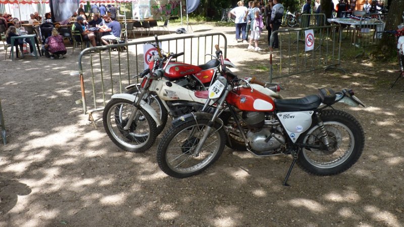 P1060002-6.jpg