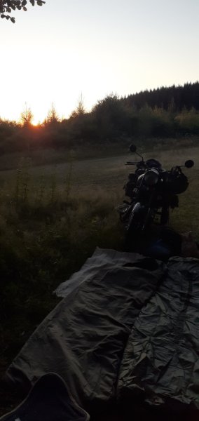 Resized_20240809_210103.jpeg