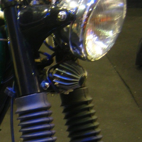 Régul Triumph a.JPG