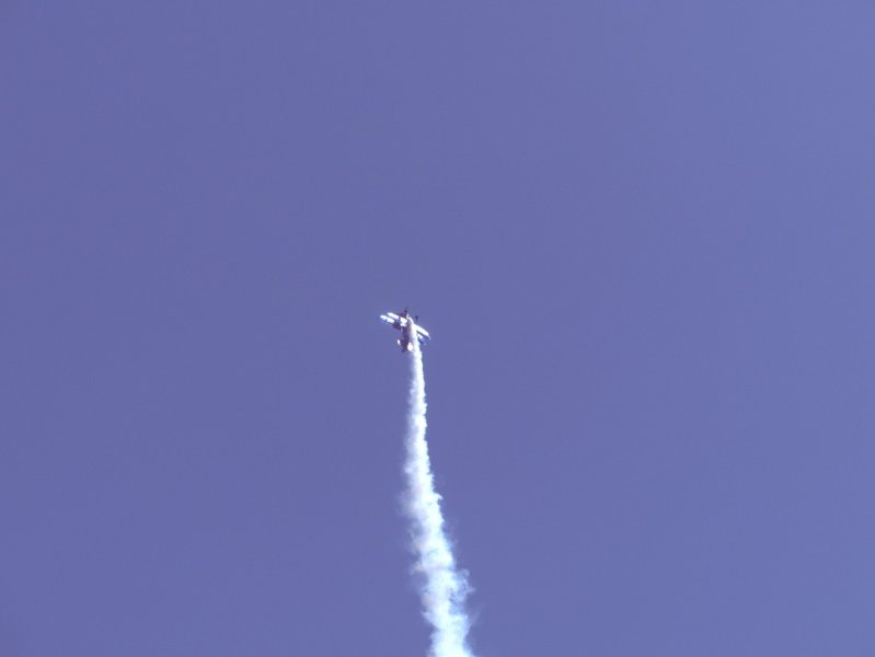 P1000130.jpg