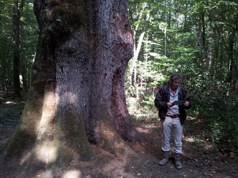 2011-09-25 15.43.16.jpg