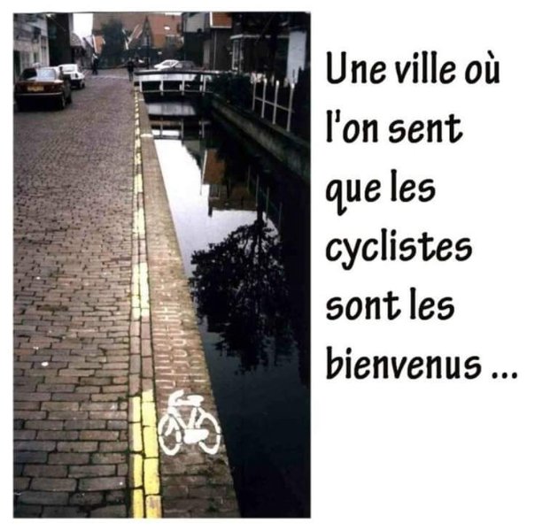 FB_IMG_1730064831550.jpg