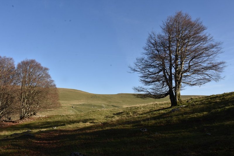 Pas de la Ferriére (20) - Copie.JPG