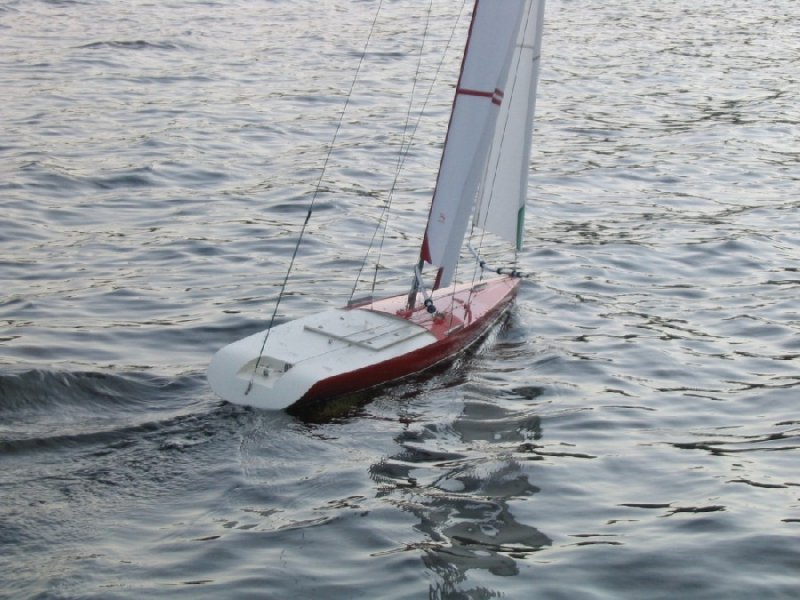 Cedar IV.jpg