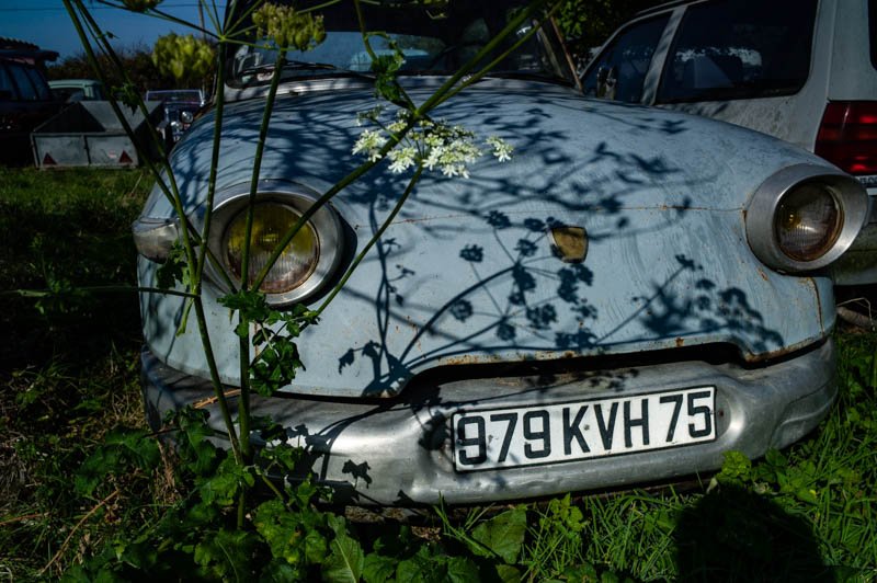 L1007829.jpg