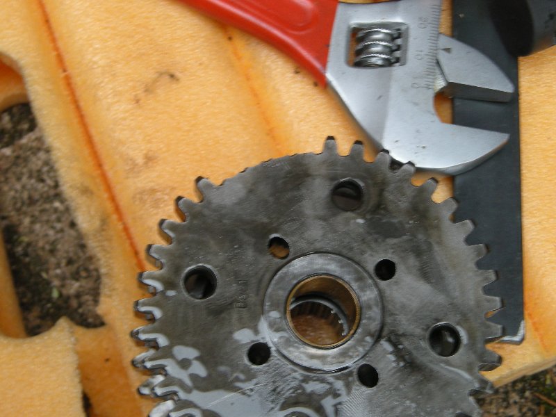 DSCN4854.JPG