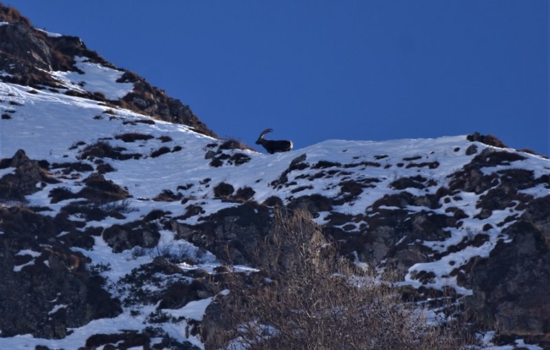 DSC_4038.JPG